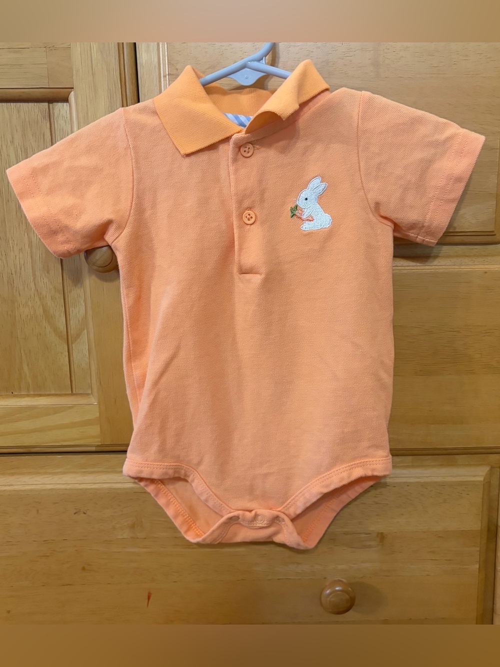 Starting Out Boy Polo Bodysuit w/Bunny Embroidery & Matching Shorts Size 9 Month
